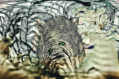 Melancolie etrange.jpg